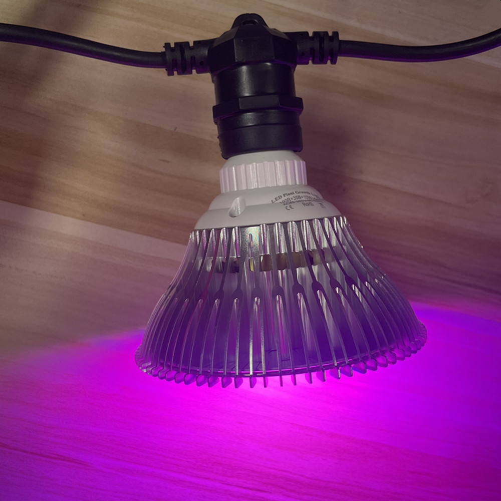 سلسلة إضاءة LED بطول 10 أمتار، - مراجعة Led Fairy String Lights وسعره