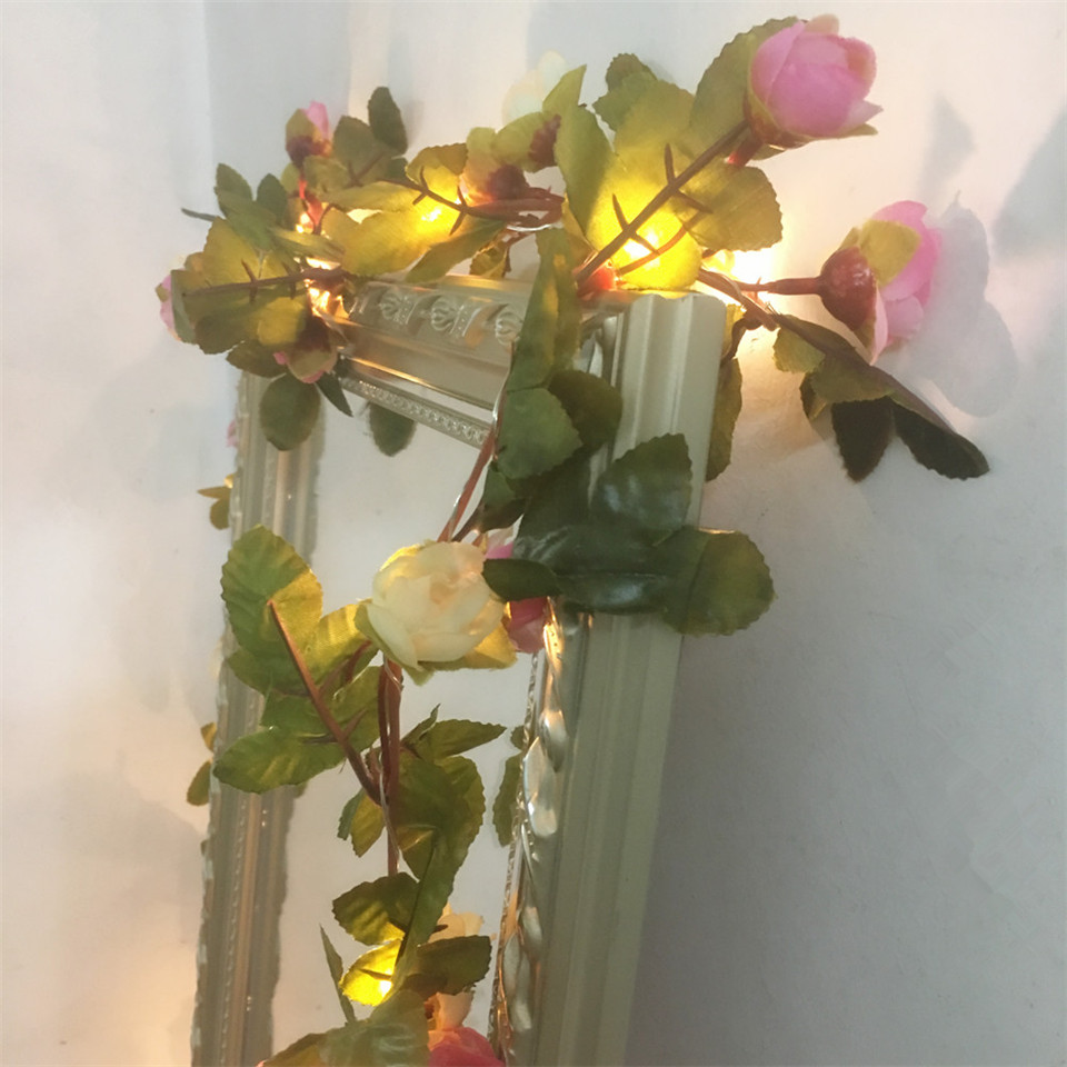 DACHAN اليدوية 2.2 متر 25 المص - مراجعة Led Fairy String Lights وسعره