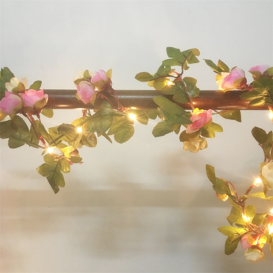 DACHAN اليدوية 2.2 متر 25 المص - مراجعة Led Fairy String Lights وسعره