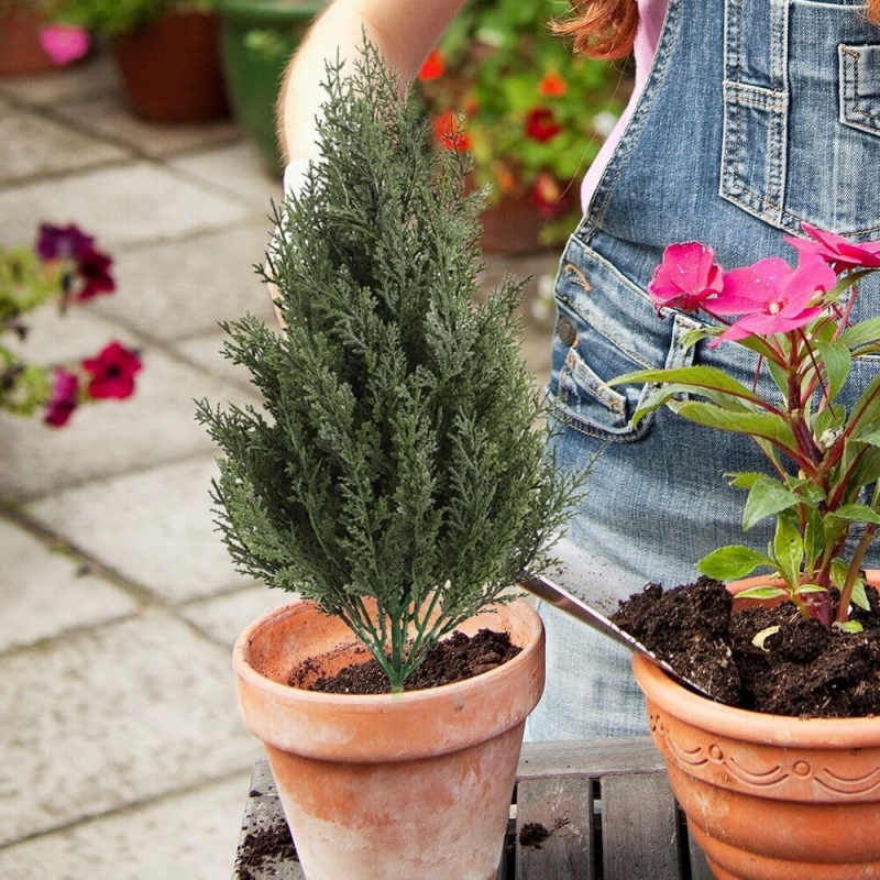 شجرة صنوبر اصطناعية بلاستيكية  - مراجعة Christmas Tree Artificial وسعره